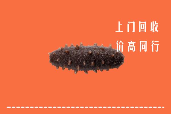 固镇县回收海参