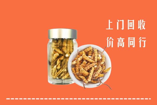 固镇县回收冬虫夏草